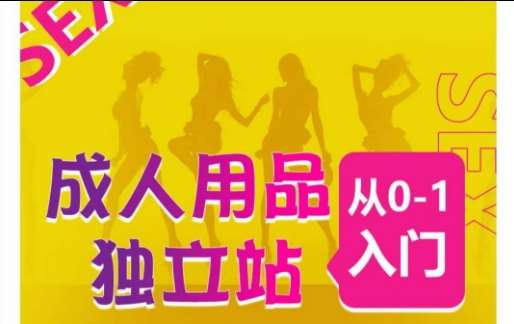 成人用品独立站从0-1入门，成品独立站运营全流程教学，七大好卖成品独立站推荐副业基地_极客搞钱_中创网_福缘网_冒泡网_资源整合平台副业基地