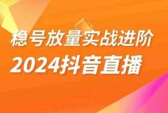 稳号放量实战进阶—2024抖音直播，直播间精细化运营的几大步骤副业基地_极客搞钱_中创网_福缘网_冒泡网_资源整合平台副业基地