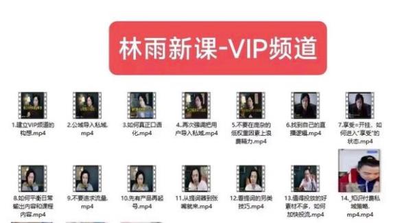 林雨新课VIP频道，玩赚私域/朋友圈/社群副业基地_极客搞钱_中创网_福缘网_冒泡网_资源整合平台副业基地