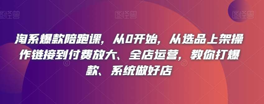 淘系爆款陪跑课，从0开始，从选品上架操作链接到付费放大、全店运营，教你打爆款、系统做好店副业基地_极客搞钱_中创网_福缘网_冒泡网_资源整合平台副业基地