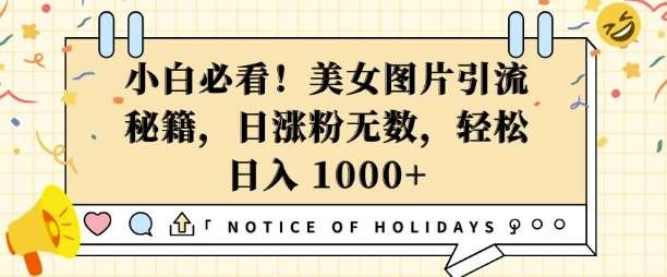 小白必看，美女图片引流秘籍，日涨粉无数，轻松日入几张【揭秘】副业基地_极客搞钱_中创网_福缘网_冒泡网_资源整合平台副业基地