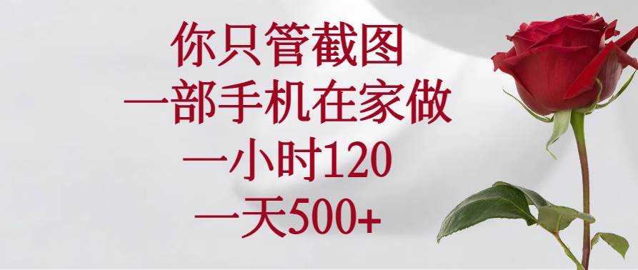 （14248期）你只管截图，一部手机在家做，一小时120，一天500+副业基地_极客搞钱_中创网_福缘网_冒泡网_资源整合平台副业基地