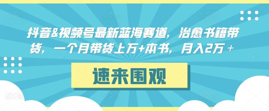抖音&视频号最新蓝海赛道，治愈书籍带货，一个月带货上万+本书，月入2万＋【揭秘】副业基地_极客搞钱_中创网_福缘网_冒泡网_资源整合平台副业基地