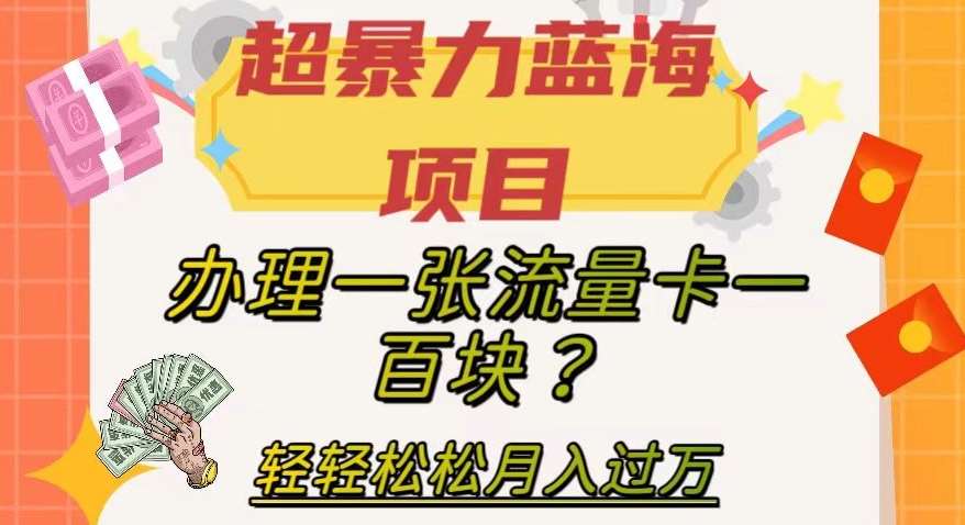 超暴力蓝海项目，办理一张流量卡一百块？轻轻松松月入过万，保姆级教程【揭秘】副业基地_极客搞钱_中创网_福缘网_冒泡网_资源整合平台副业基地