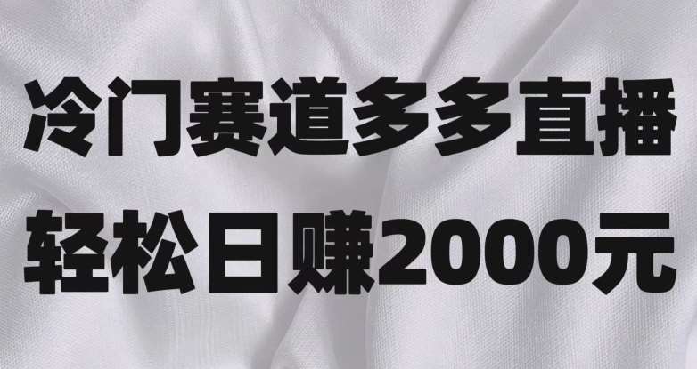 冷门赛道拼多多直播，简单念稿子，日收益2000＋【揭秘】副业基地_极客搞钱_中创网_福缘网_冒泡网_资源整合平台副业基地