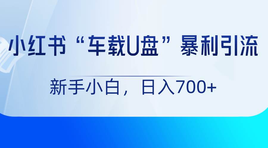 小红书“车载U盘”项目，暴利引流，新手小白轻松日入700+副业基地_极客搞钱_中创网_福缘网_冒泡网_资源整合平台副业基地