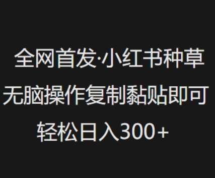 全网首发，小红书种草无脑操作，复制黏贴即可，轻松日入3张副业基地_极客搞钱_中创网_福缘网_冒泡网_资源整合平台副业基地