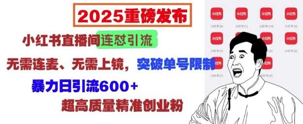 2025重磅发布：小红书直播间连怼引流，无需连麦、无需上镜，突破单号限制，暴力日引流600+副业基地_极客搞钱_中创网_福缘网_冒泡网_资源整合平台副业基地