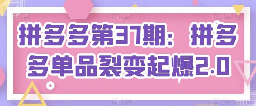 拼多多第37期：拼多多单品裂变起爆2.0副业基地_极客搞钱_中创网_福缘网_冒泡网_资源整合平台副业基地
