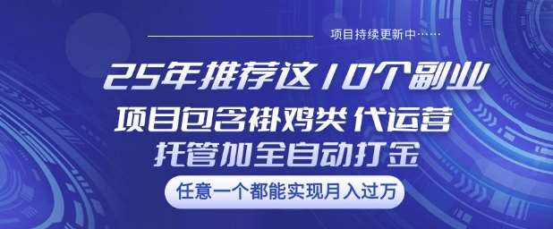 25年推荐这10个副业项目包含褂鸡类、代运营托管类、全自动打金类【揭秘】副业基地_极客搞钱_中创网_福缘网_冒泡网_资源整合平台副业基地