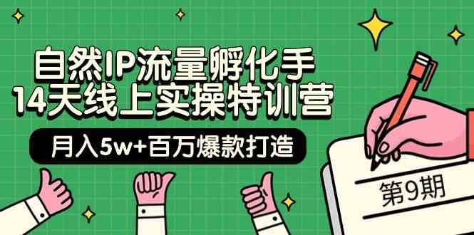 自然IP流量孵化手14天线上实操特训营【第9期】月入5w+百万爆款打造 (74节)副业基地_极客搞钱_中创网_福缘网_冒泡网_资源整合平台副业基地