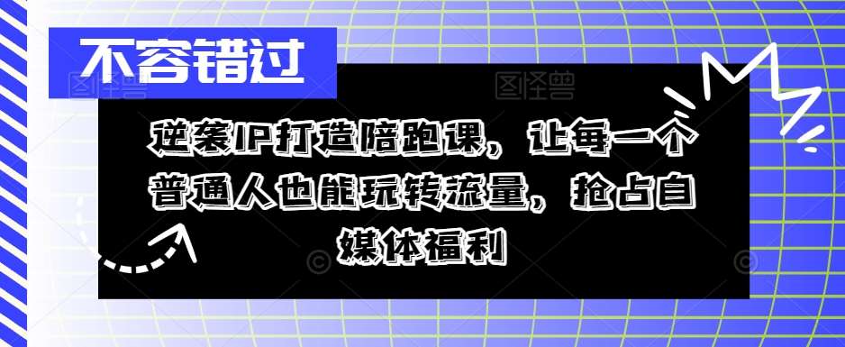 逆袭IP打造陪跑课，让每一个普通人也能玩转流量，抢占自媒体福利副业基地_极客搞钱_中创网_福缘网_冒泡网_资源整合平台副业基地