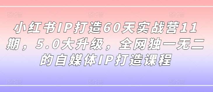 小红书IP打造60天实战营11期，5.0大升级，全网独一无二的自媒体IP打造课程副业基地_极客搞钱_中创网_福缘网_冒泡网_资源整合平台副业基地