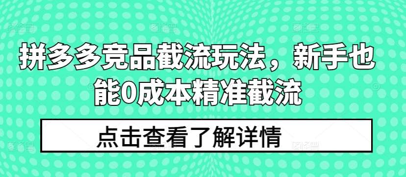 拼多多竞品截流玩法，新手也能0成本精准截流副业基地_极客搞钱_中创网_福缘网_冒泡网_资源整合平台副业基地