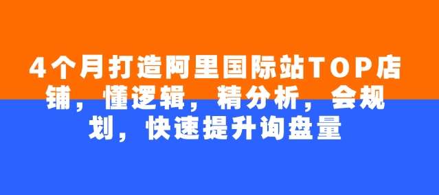 4个月打造阿里国际站TOP店铺，懂逻辑，精分析，会规划，快速提升询盘量副业基地_极客搞钱_中创网_福缘网_冒泡网_资源整合平台副业基地