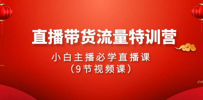 2024直播带货流量特训营，小白主播必学直播课（9节视频课）副业基地_极客搞钱_中创网_福缘网_冒泡网_资源整合平台副业基地