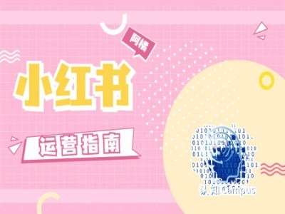小红书运营指南，没有套路，全是经验副业基地_极客搞钱_中创网_福缘网_冒泡网_资源整合平台副业基地