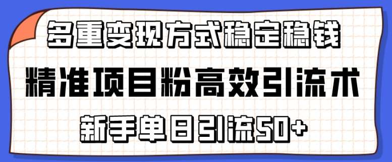 精准项目粉高效引流术，新手单日引流50+，多重变现方式稳定赚钱【揭秘】副业基地_极客搞钱_中创网_福缘网_冒泡网_资源整合平台副业基地