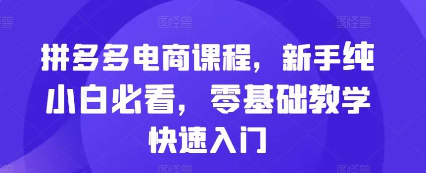 拼多多电商课程，新手纯小白必看，零基础教学快速入门副业基地_极客搞钱_中创网_福缘网_冒泡网_资源整合平台副业基地