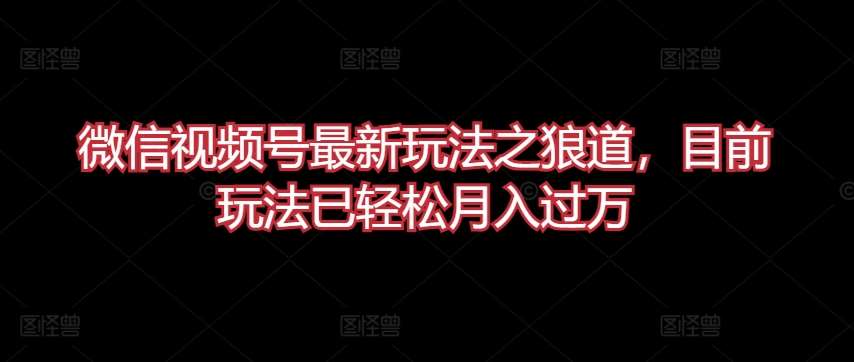 微信视频号最新玩法之狼道，目前玩法已轻松月入过万【揭秘】副业基地_极客搞钱_中创网_福缘网_冒泡网_资源整合平台副业基地
