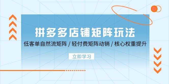 （12720期）拼多多店铺矩阵玩法：低客单自然流矩阵 / 轻付费矩阵 动销 / 核心权重提升副业基地_极客搞钱_中创网_福缘网_冒泡网_资源整合平台副业基地