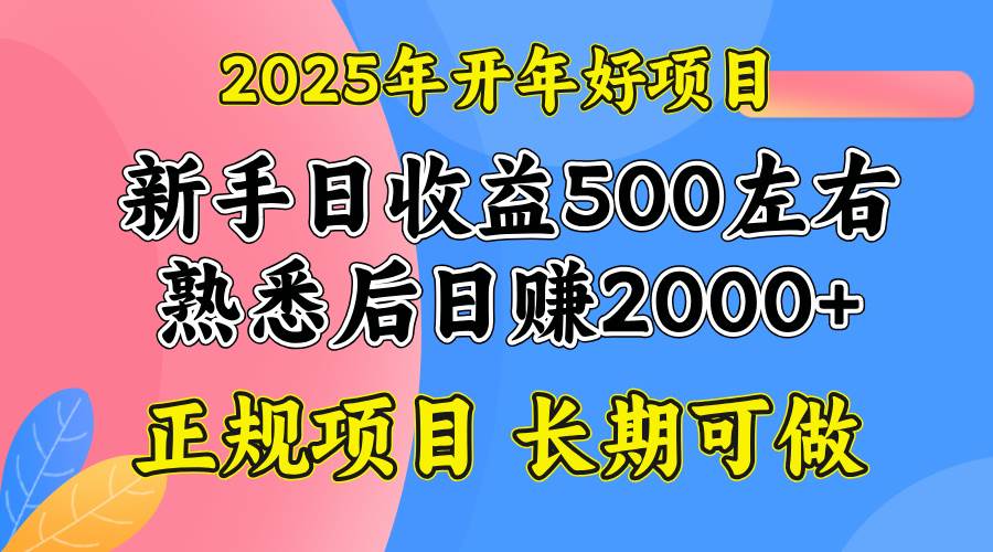 （14076期）2025开年好项目，单号日收益2000左右副业基地_极客搞钱_中创网_福缘网_冒泡网_资源整合平台副业基地