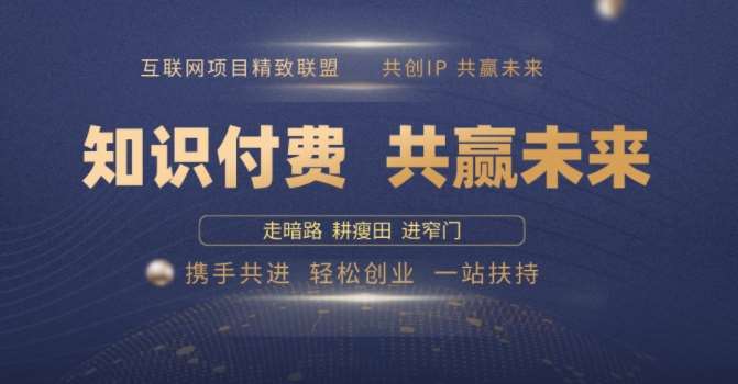 别人苦寻无果，为何他们靠知识付费卖项目 2025 年轻松年入100个?【揭秘】副业基地_极客搞钱_中创网_福缘网_冒泡网_资源整合平台副业基地