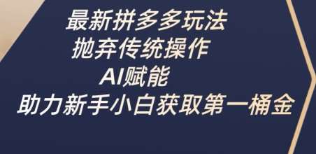 最新拼多多玩法，抛弃传统操作，AI赋能，助力新手小白获取第一桶金副业基地_极客搞钱_中创网_福缘网_冒泡网_资源整合平台副业基地