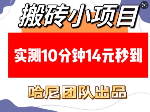 搬砖小项目，实测10分钟14元秒到，每天稳定几张(赠送必看稳定)副业基地_极客搞钱_中创网_福缘网_冒泡网_资源整合平台副业基地