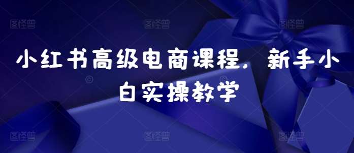 小红书高级电商课程，新手小白实操教学副业基地_极客搞钱_中创网_福缘网_冒泡网_资源整合平台副业基地