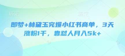 即梦+林黛玉完爆小红书商单，3天涨粉1千，靠怼人月入5k+副业基地_极客搞钱_中创网_福缘网_冒泡网_资源整合平台副业基地