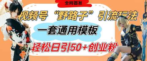 视频号“野路子”玩法，评论区疯狂截流，一套模板单日单号引流50+创业粉副业基地_极客搞钱_中创网_福缘网_冒泡网_资源整合平台副业基地