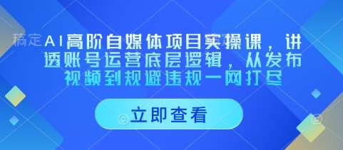 AI高阶自媒体项目实操课，讲透账号运营底层逻辑，从发布视频到规避违规一网打尽副业基地_极客搞钱_中创网_福缘网_冒泡网_资源整合平台副业基地