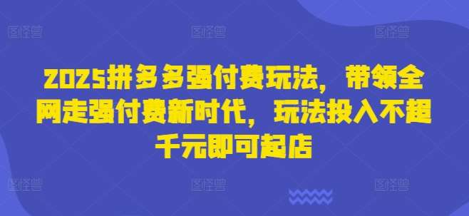 2025拼多多强付费玩法，带领全网走强付费新时代，玩法投入不超千元即可起店副业基地_极客搞钱_中创网_福缘网_冒泡网_资源整合平台副业基地