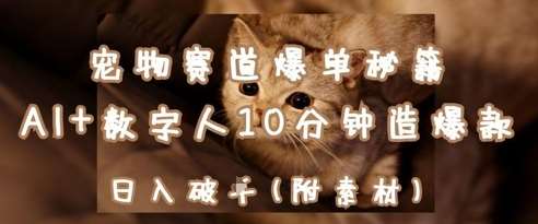 宠物赛道爆单秘籍：AI+数字人10分钟造爆款，日入1k副业基地_极客搞钱_中创网_福缘网_冒泡网_资源整合平台副业基地