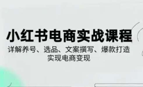小红书从0-1实操课(2023-2025)，详解养号、选品、文案撰写、爆款打造实现电商变现副业基地_极客搞钱_中创网_福缘网_冒泡网_资源整合平台副业基地
