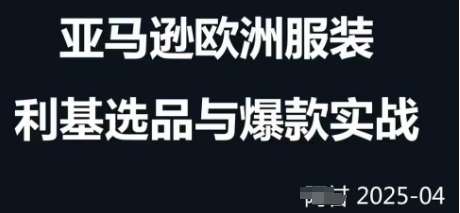 跨境电商选品案例24-25年，聚焦跨境电商选品策略与运营优化，助力卖家挖掘蓝海市场副业基地_极客搞钱_中创网_福缘网_冒泡网_资源整合平台副业基地