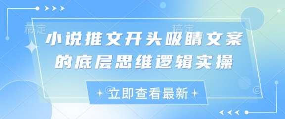 小说推文开头吸睛文案的底层思维逻辑实操副业基地_极客搞钱_中创网_福缘网_冒泡网_资源整合平台副业基地