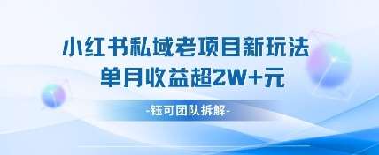 小红书私域项目新玩法，单月变现过W+副业基地_极客搞钱_中创网_福缘网_冒泡网_资源整合平台副业基地