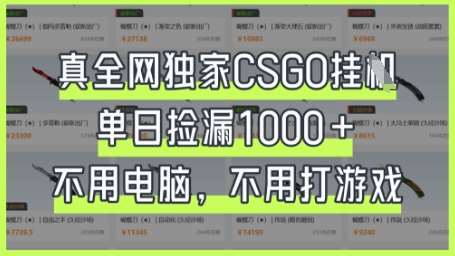 真全网独家CSGO挂G，单日捡漏1k+【揭秘】副业基地_极客搞钱_中创网_福缘网_冒泡网_资源整合平台副业基地