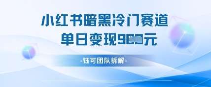 小红书冷门”暗黑”赛道，单日收益多张副业基地_极客搞钱_中创网_福缘网_冒泡网_资源整合平台副业基地