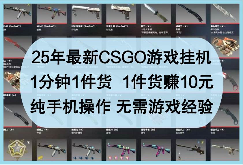 25年最新CSGO游戏挂机，1分钟1件货，1件货赚10元，纯手机操作，无需游戏经验副业基地_极客搞钱_中创网_福缘网_冒泡网_资源整合平台副业基地