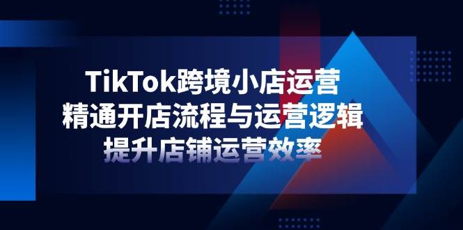 （14369期）TikTok跨境小店运营，精通开店流程与运营逻辑，提升店铺运营效率副业基地_极客搞钱_中创网_福缘网_冒泡网_资源整合平台副业基地