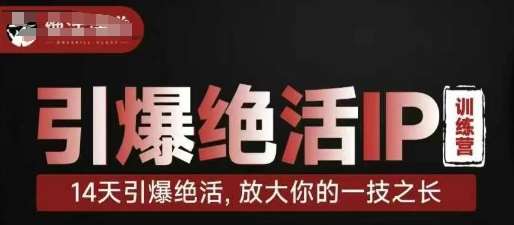 引爆绝活IP训练营，14天引爆绝活，放大你的一技之长副业基地_极客搞钱_中创网_福缘网_冒泡网_资源整合平台副业基地