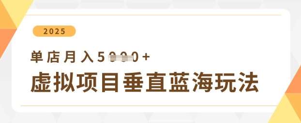 虚拟项目垂直玩法，实现单店月入5k+副业基地_极客搞钱_中创网_福缘网_冒泡网_资源整合平台副业基地