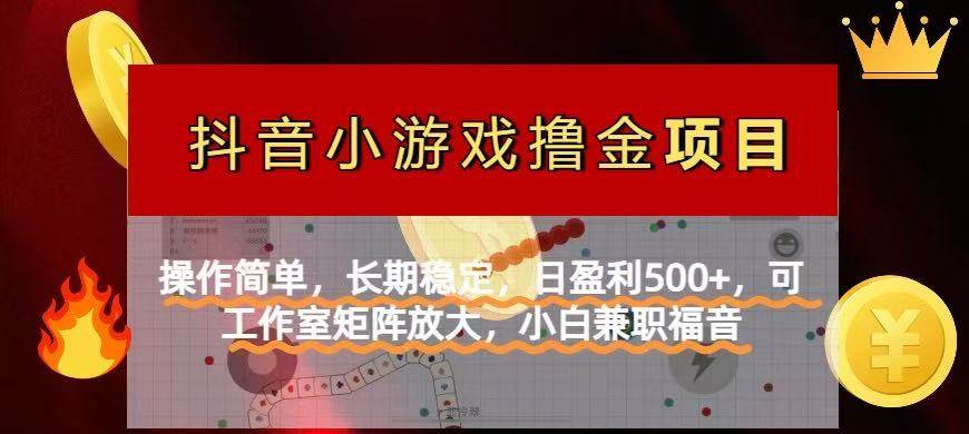 （14290期）【抖音小游戏发行人计划项目】操作简单，长期稳定，日盈利500+，可工作…副业基地_极客搞钱_中创网_福缘网_冒泡网_资源整合平台副业基地