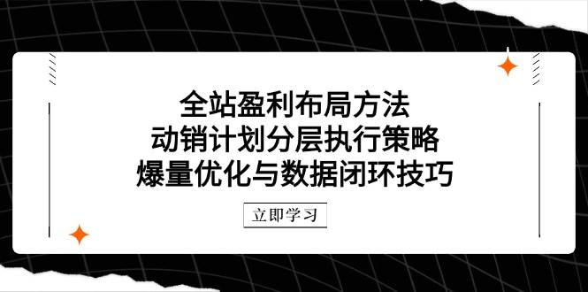 （14698期）全站盈利布局方法：动销计划分层执行策略，爆量优化与数据闭环技巧副业基地_极客搞钱_中创网_福缘网_冒泡网_资源整合平台副业基地