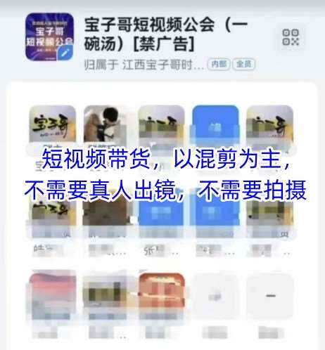 宝子哥头部团队短视频带货，以混剪为主，不需要真人出镜，不需要拍摄副业基地_极客搞钱_中创网_福缘网_冒泡网_资源整合平台副业基地