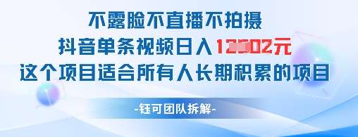 不露脸不直播不拍摄抖音单条视频日入1k+这个项目适合所有人长期积累的项目副业基地_极客搞钱_中创网_福缘网_冒泡网_资源整合平台副业基地