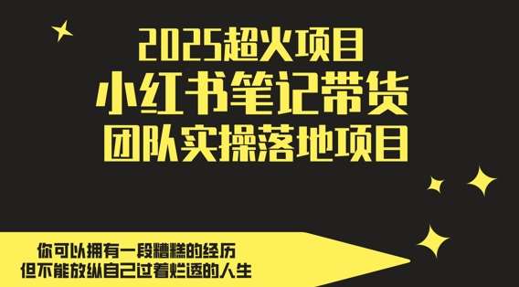 2025超火项目，副业最佳选择，小红书笔记带货团队实操落地项目，，轻松日入5张副业基地_极客搞钱_中创网_福缘网_冒泡网_资源整合平台副业基地